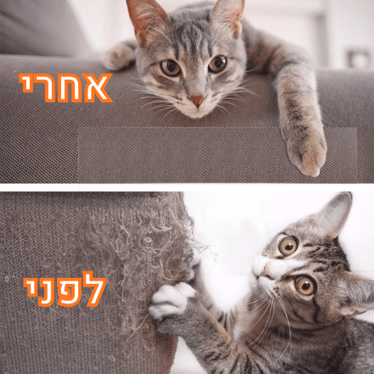 ™HALISON Shield מגן ספה מפני שריטות